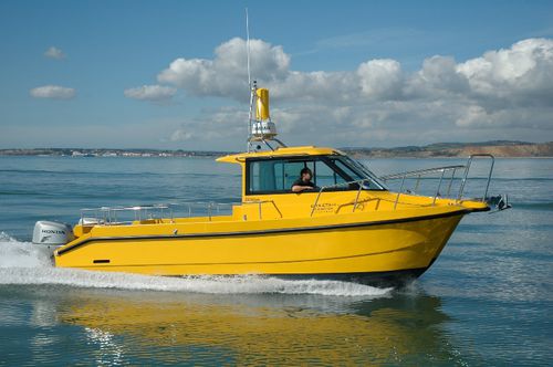 Barco de pesca-passeio catamarã - Moonstone - Cheetah Marine - com motor de popa / bimotor / com cockpit fechado