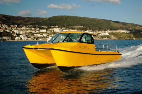 Barco de pesca-passeio catamarã - Spindrift Three - Cheetah Marine - com motor de popa / bimotor / com hard-top