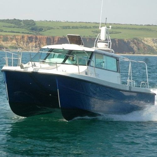 Barco profissional barco para levantamentos hidrográficos - Wagcat - Cheetah Marine - catamarã / com motor de popa