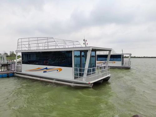 Barco-casa catamarã - Changzhou Youbang Boat Co., Ltd. - com motor de popa / elétrico / a GLP