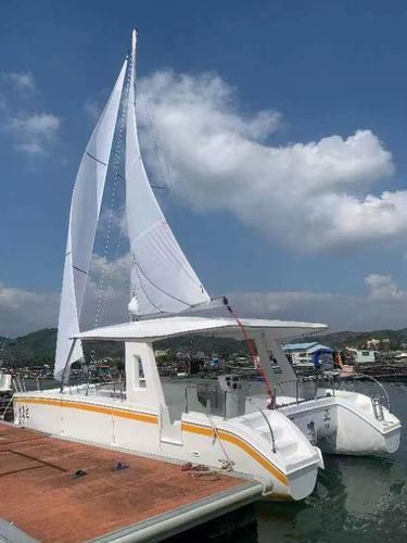 Barco profissional barco de passeio - Changzhou Youbang Boat Co., Ltd. - catamarã / com motor de popa