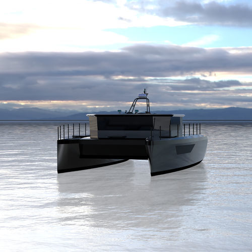 Lancha Express Cruiser catamarã - 38 - Etkin Marin - com motor de centro / bimotor / com hard-top