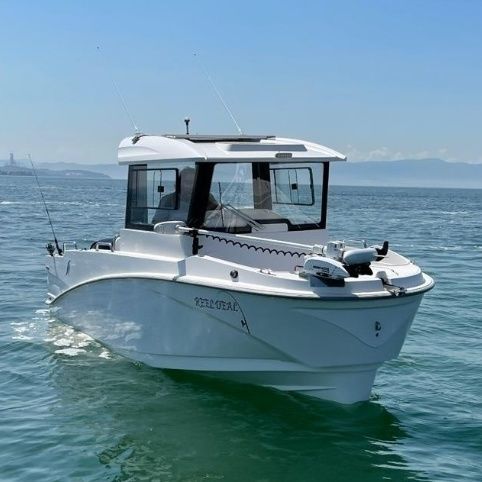 Barco de pesca-passeio com motor de popa - 22 FISHER - Driftmark Marine - com cockpit fechado / de pesca e passeio / de cruzeiro
