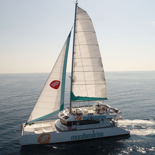 Barco profissional barco de passageiros - MUNDO MARINO ECO - Drassanes Dalmau, S.A - catamarã / híbrido diesel-elétrico / para pessoas com mobilidade reduzida