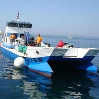 Barco profissional barco de trabalho - SEMAC 25 - Drassanes Dalmau, S.A - barco de apoio portuário / catamarã / com motor de centro