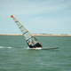 vela para prancha de Race / de regata / de competição / SDM