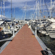 píer flutuante / de atracação / para marina / em concreto