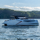 lancha Express Cruiser catamarã / com motor de centro / open / com console dupla