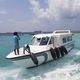 barco profissional barco de passageiros / com motor de popa / em PRFV