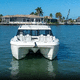 lancha Express Cruiser catamarã / com motor de popa / com hard-top / esportiva
